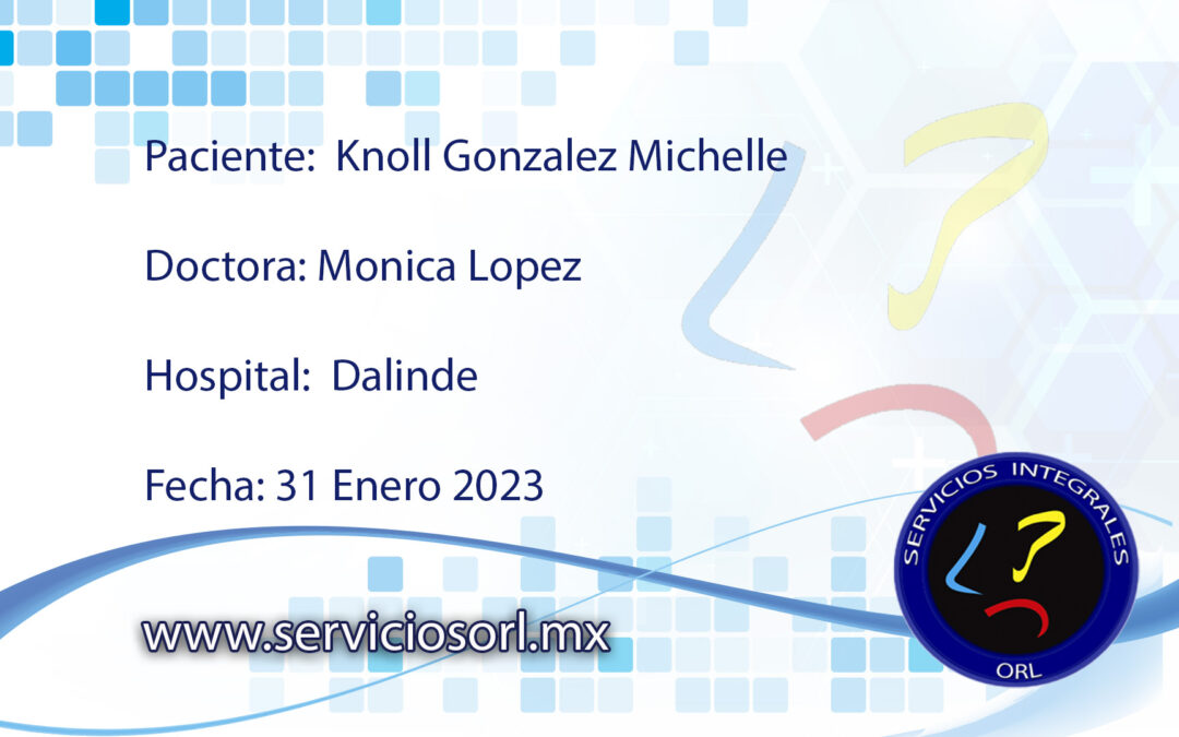 Protegido: Knoll Gonzalez Michelle