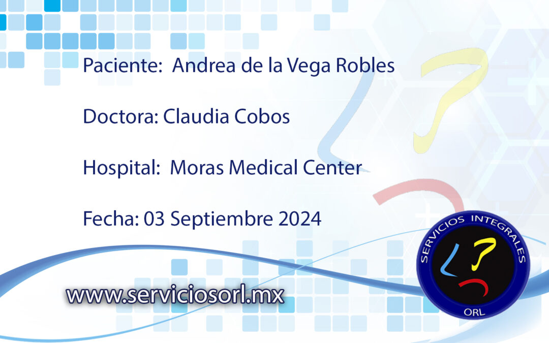 Protegido: Andrea de la Vega Robles