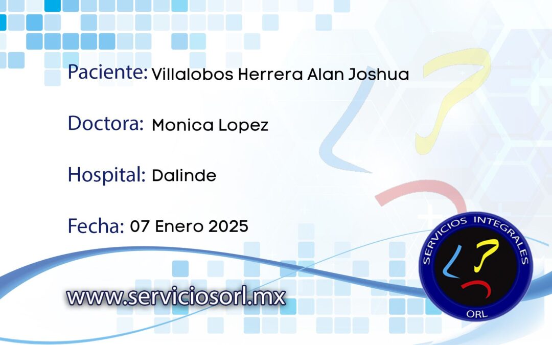 Protegido: Villalobos Herrera Alan Joshua