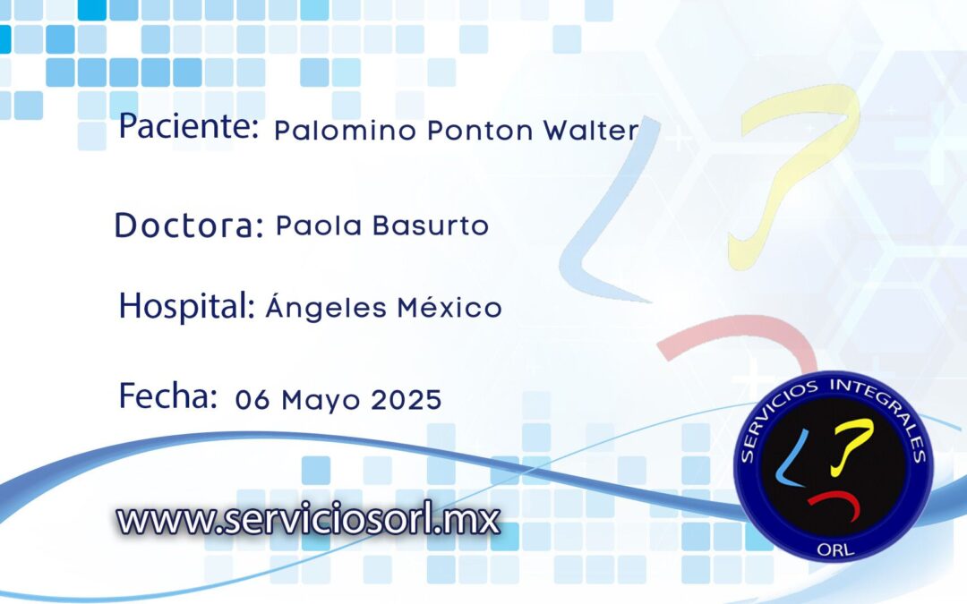 Protegido: Palomino Ponton Walter